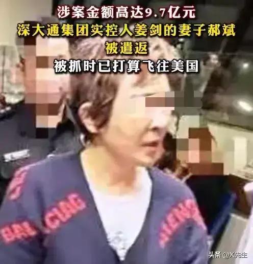 又揪出来一个巨贪,金额高达9.7亿,首富夫人郝斌跨境逃亡失败了