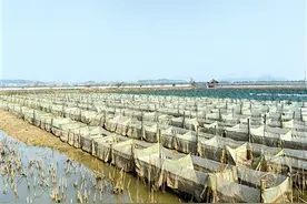 赤壁谈红鳝业生态养殖专业合作社谈火林：小鳝鱼吐出“金泡泡”图片