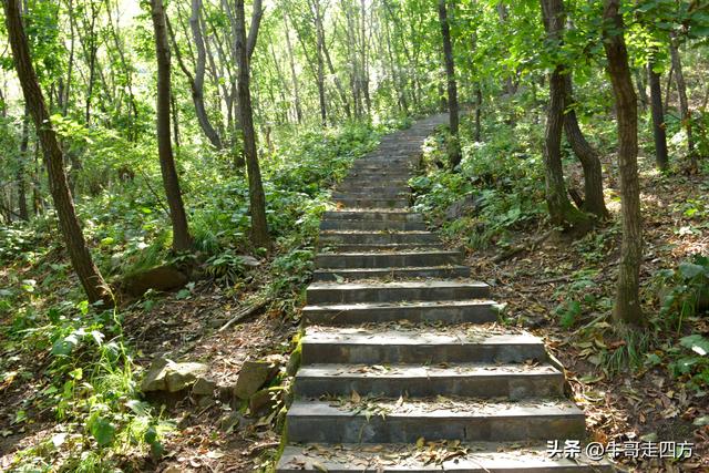 河北百草畔（上）：风动孤石悬险韵，蚁巡深岭蕴生机