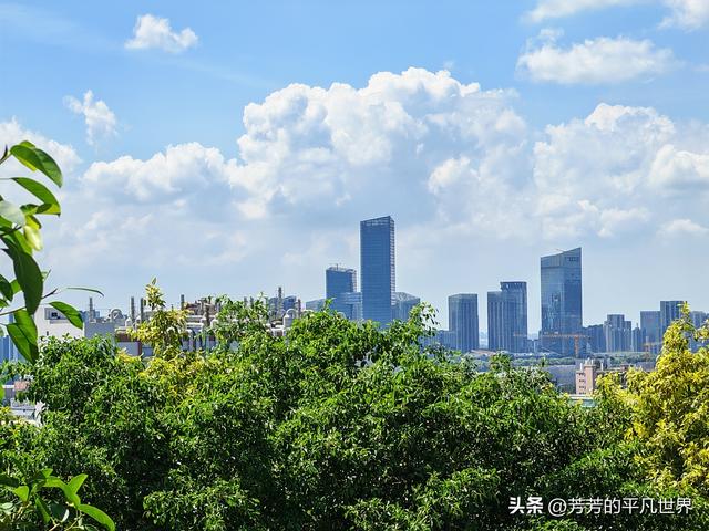 大湾区晨画