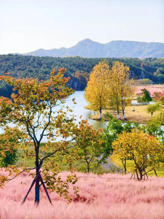 田曦薇、胡一天打卡西海岸！约你来玩！