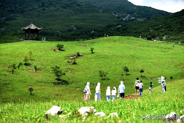 六盘水“贵州屋脊”韭菜坪清凉气候吸引各地游客赏景避暑游