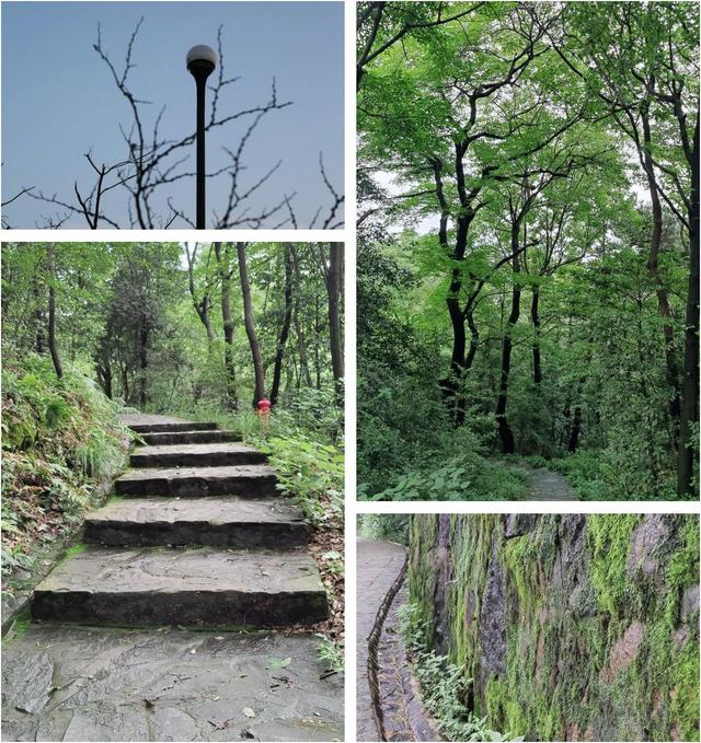 最爱岳麓山