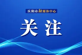 甘肃省庆阳市出台《全市性行业协会商会负责人任职管理办法》图片