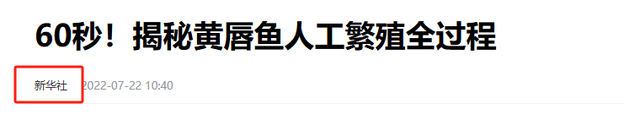 敏鱼肚多少钱一斤 敏鱼肚怎样吃最养胃