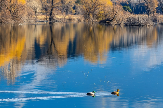 燕谷犹在，秋意正浓：李白诗里的舞彩浅山什么样？