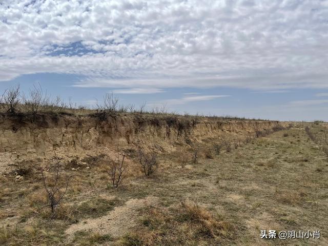 鄂尔多斯市达拉特旗田野考察笔记