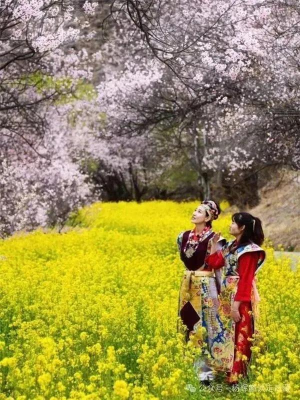 林芝波密，被称为“西藏瑞士”，有中国最美的原始森林