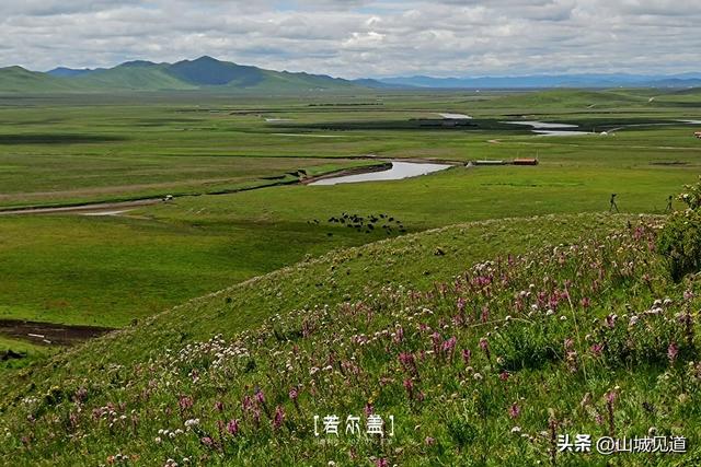 川西若尔盖大草原环线自驾攻略