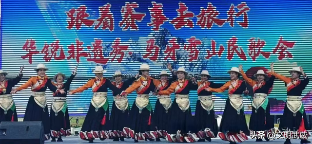 以文艺志愿服务之笔 绘就武威文旅融合新画卷