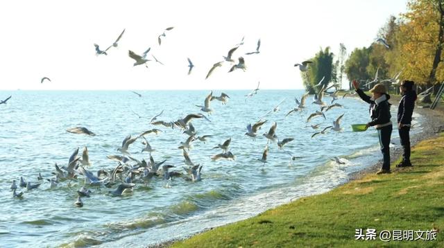 昆明十七公里外,藏着一个可以看“海”的白族村