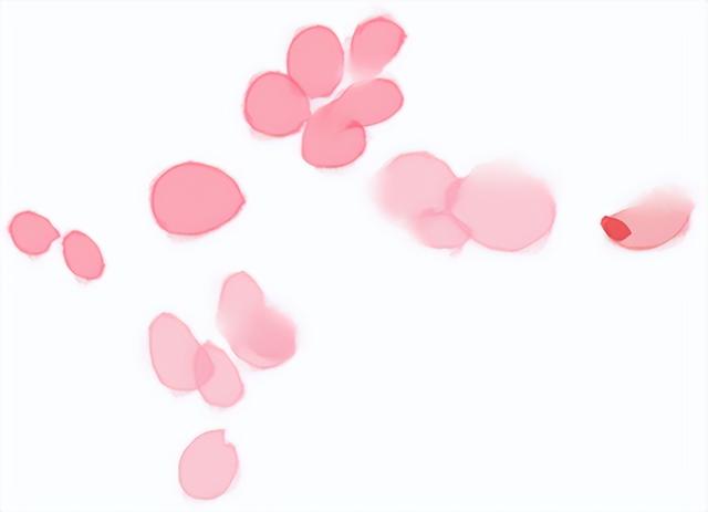 春风有信，花开有期！石家庄公园广场春季赏花指南来了