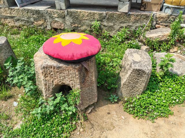 金鼎远望