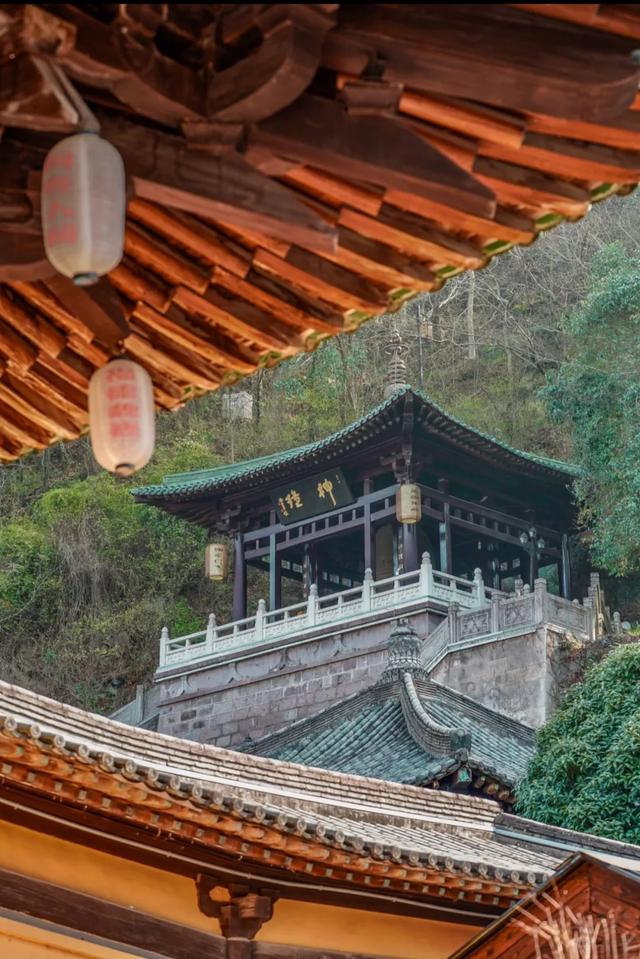 在台州，看见一种不靠流量的生活：山海之间，有滋有味，有人情