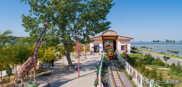 【活动预告】“枣”想约你！2025国庆大荔金秋文旅活动即将开启