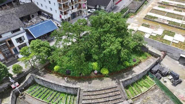 桐梓4条避暑康养路线，解锁你的夏日疗愈之旅！