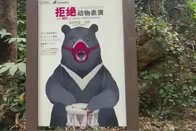 南京红山森林动物园紧急通知：4月5日预约已满图片