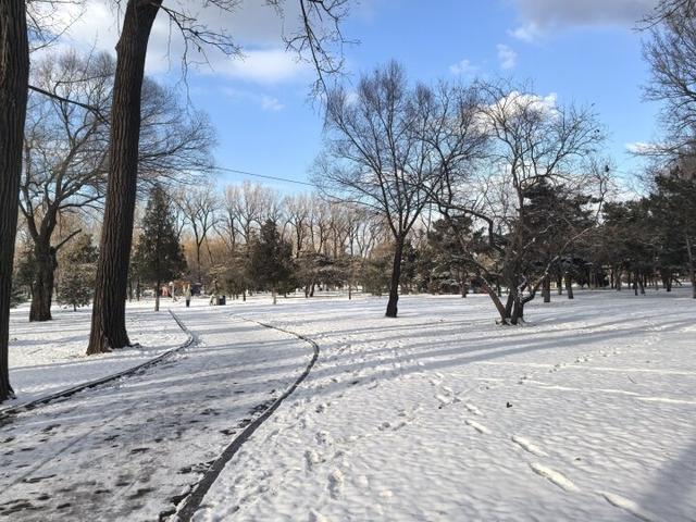 雪后二一九公园藏着治愈系美景