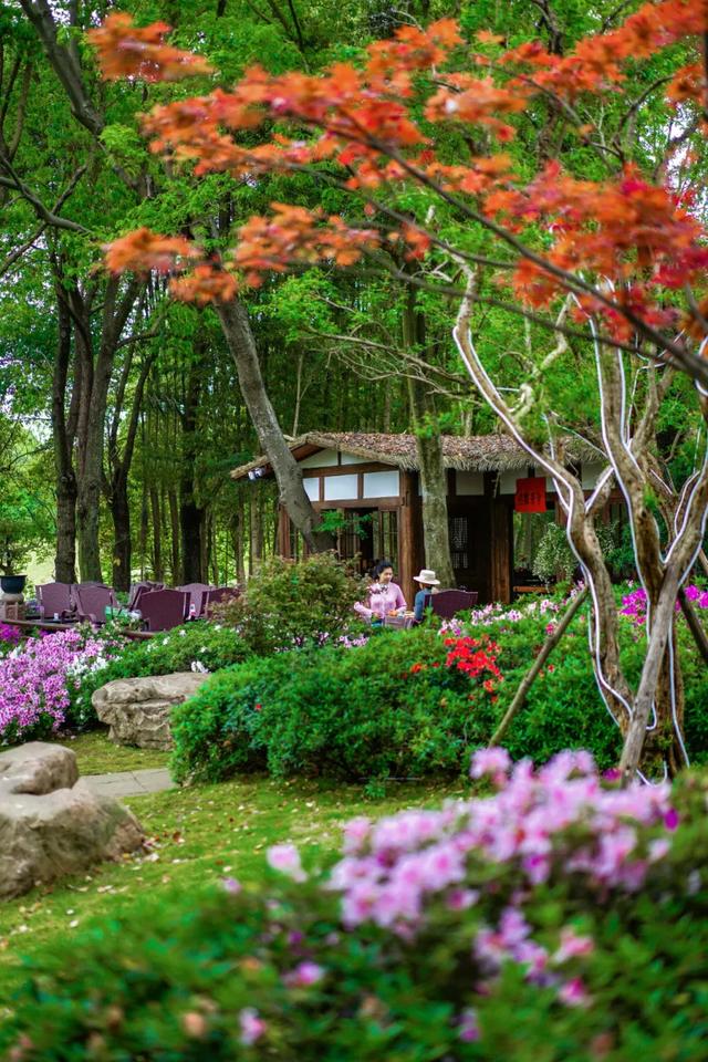 成都6个宁静村落，邂逅彩林、稻田、芦苇、草坪…景美好玩不扎堆