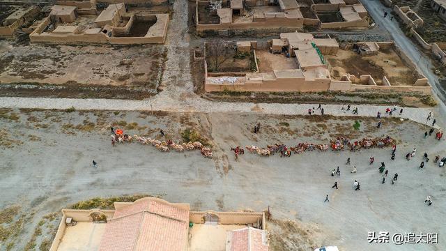 初冬，古城迎来西行客