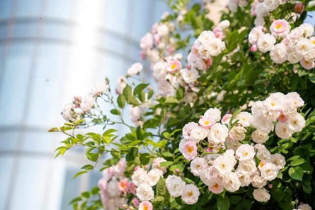 为什么十个亲家，九家关系处得都一般，原因就是一个，理念不一样