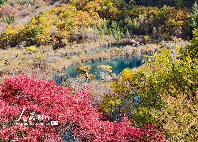 九寨沟 层林尽染
