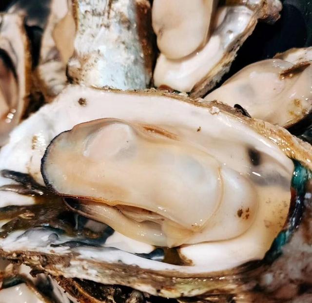 为啥北方人喜欢去北海过冬而不去湛江？实话实说，两地差距真不小