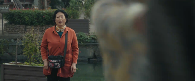 央视八套开播！36集家庭大剧来袭，全员实力派，观众：拉满期待值