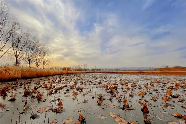 【联动宣传】在白银水川湿地，与冬天第一次握手