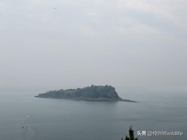 大连海之韵公园·棒槌岛