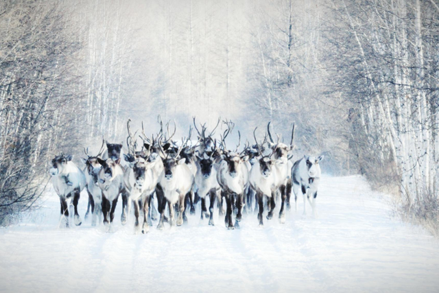 这场冰雪英雄会藏着最生动的人文秘境