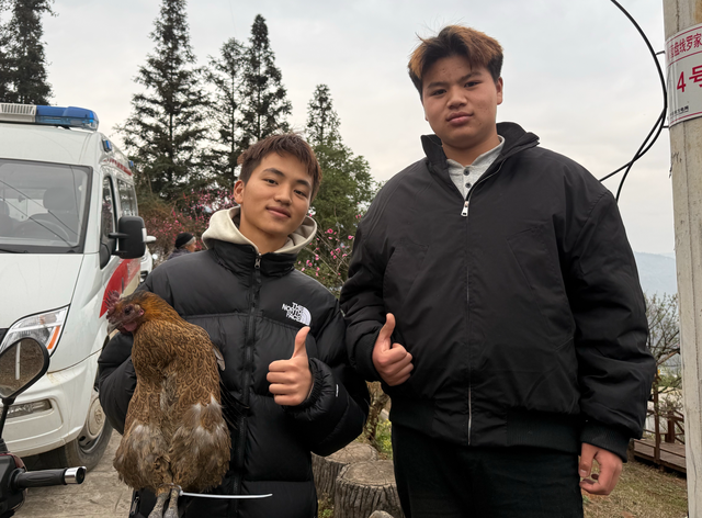 花海人潮春意浓 抓鸡拔河乐翻天 | 水城区营盘乡第十届桃花节系列趣味活动热闹启幕