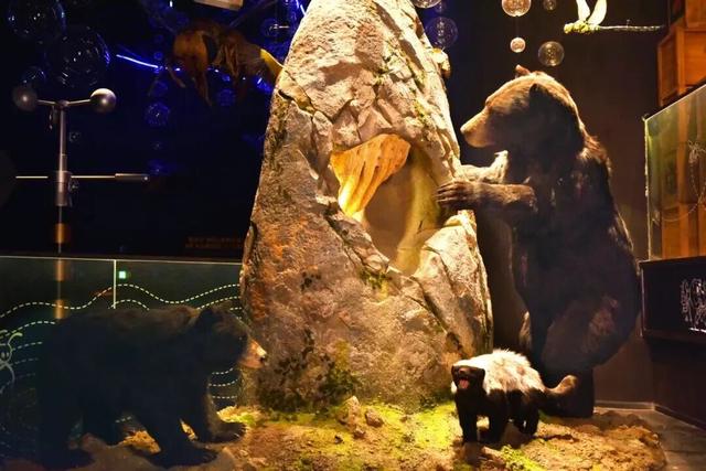 获吉尼斯世界纪录！最大蜜蜂主题馆就在昌平