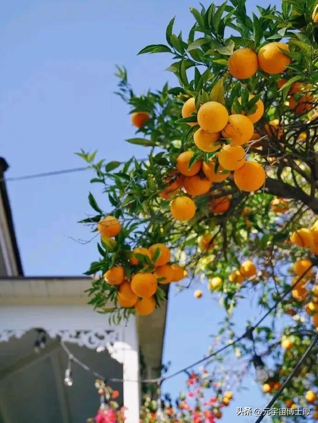 北京下雪后天寒地冻数九寒天大雪小雪冬至又一年注意保暖