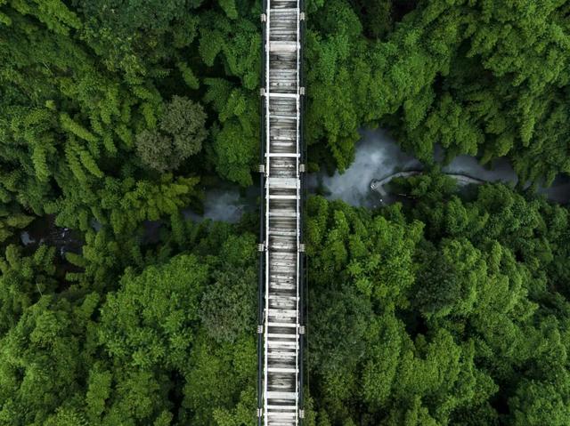 首个“秋假”！四川这些景区宣布免门票