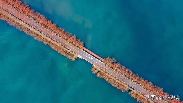 武汉不止这五千亩红叶，最大赏秋地绝了！