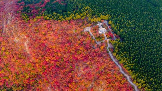 新华社聚焦+国家地理推荐！济南蝎子山“鸳鸯锅”秋景太惊艳了！