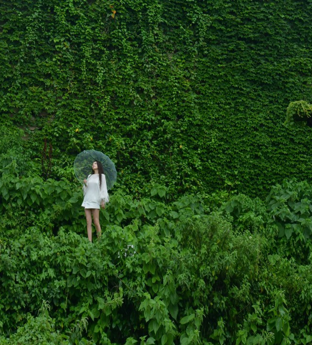 从你的全世界路过81：墟村浮光