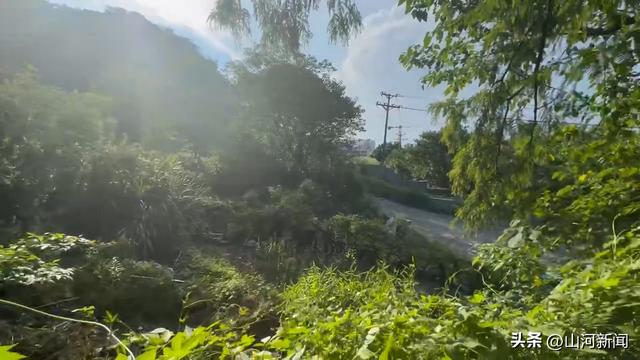 探访52岁女子误触氢氟酸致身亡事发地，丈夫：已在老家给妻子办丧事