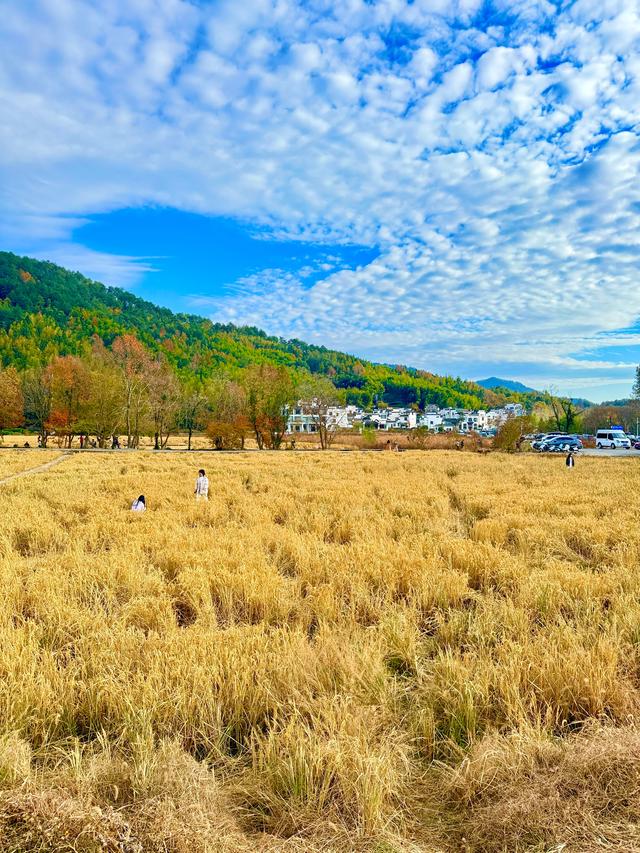 追着晚秋(黟县宏村镇塔川村)