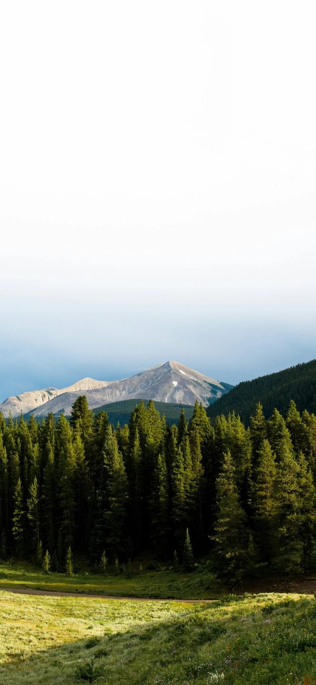 手机壁纸|治愈系的自然美景