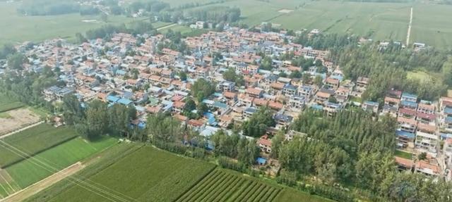 魅力曹县楼庄镇