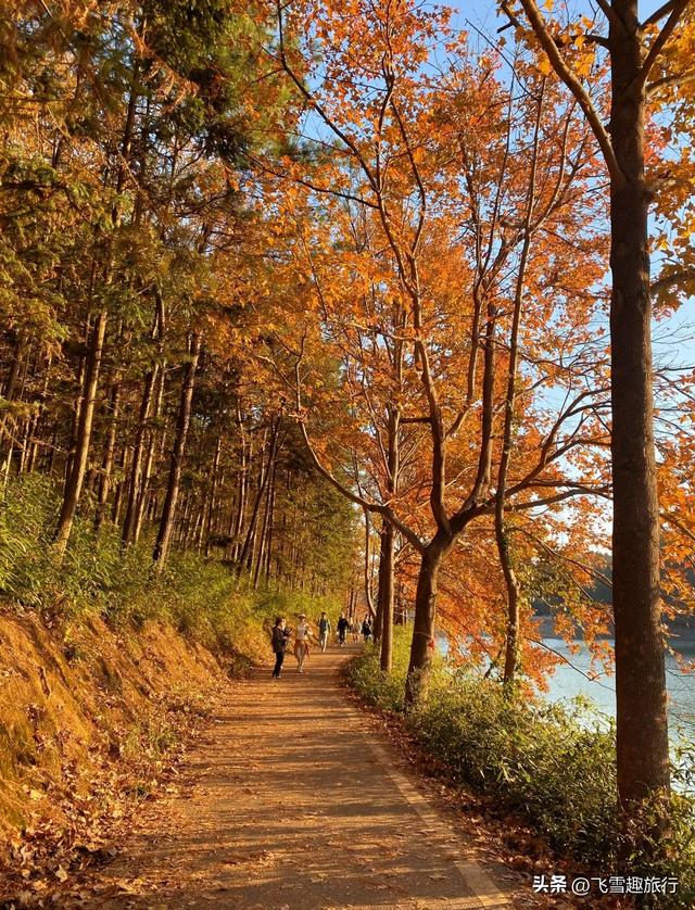 从杭州出发，一小时左右车程，五个风格各异的绝佳赏秋地