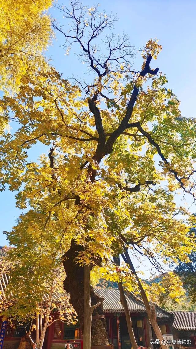 送我“鸭脚”，这朋友就能处