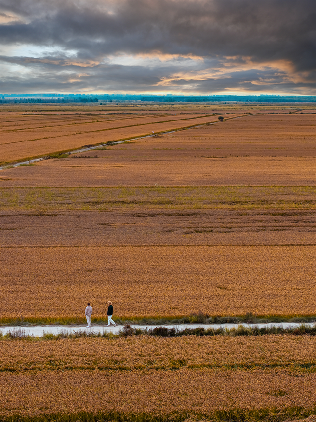 为了这些照片，我专门来了一趟东营！
