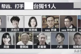 11名“台独”帮凶、打手丑照曝光，末日将至仍疯狂叫嚣！图片