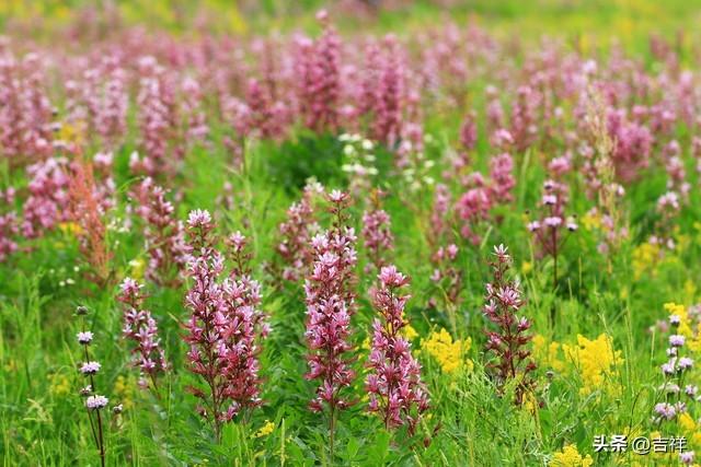 养老热议：如何守护晚年幸福？新型养老方式来了，挑战传统观念！