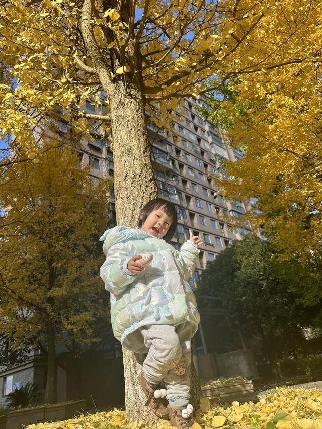 银杏拍照指南！10个出片宝藏地+3个手工教程，手把手教你出片！