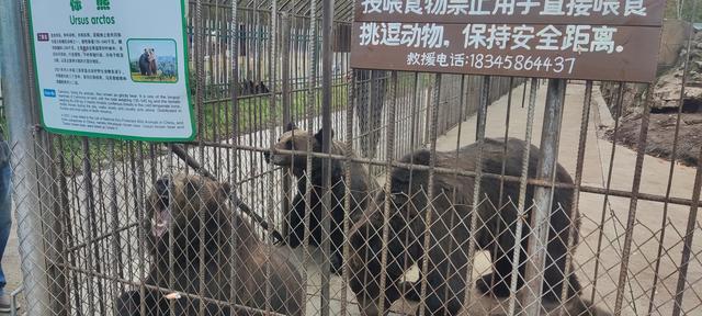 色彩·伊春—秋意正浓等你来