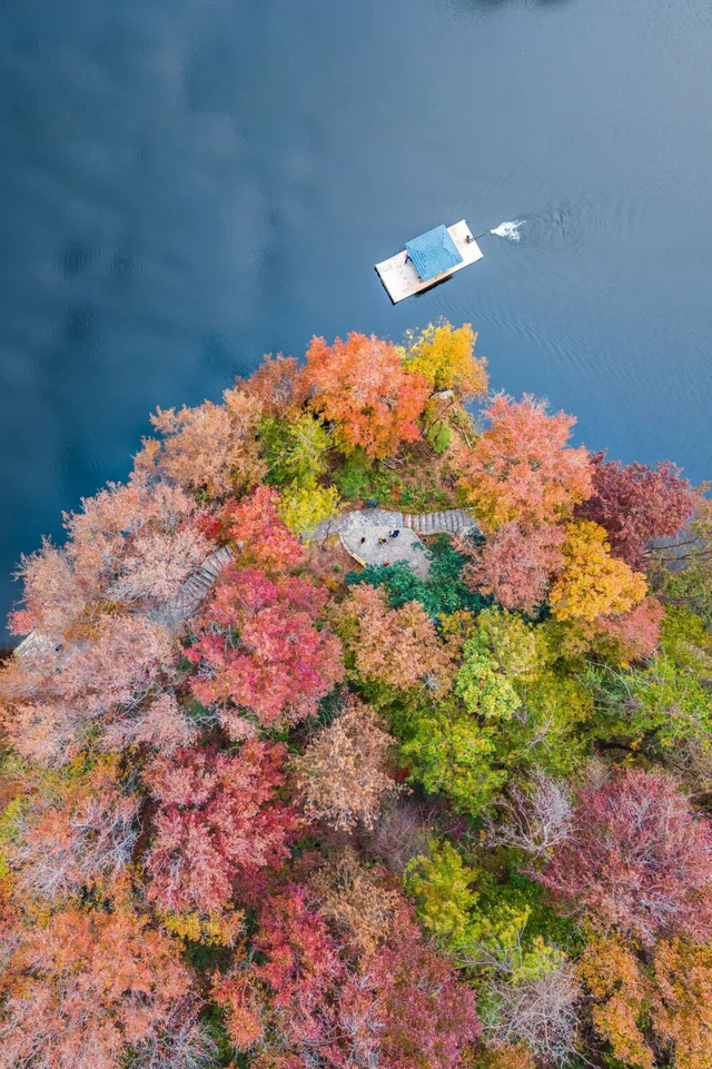 寒潮要来！黄陂最后的秋色等你来打卡！